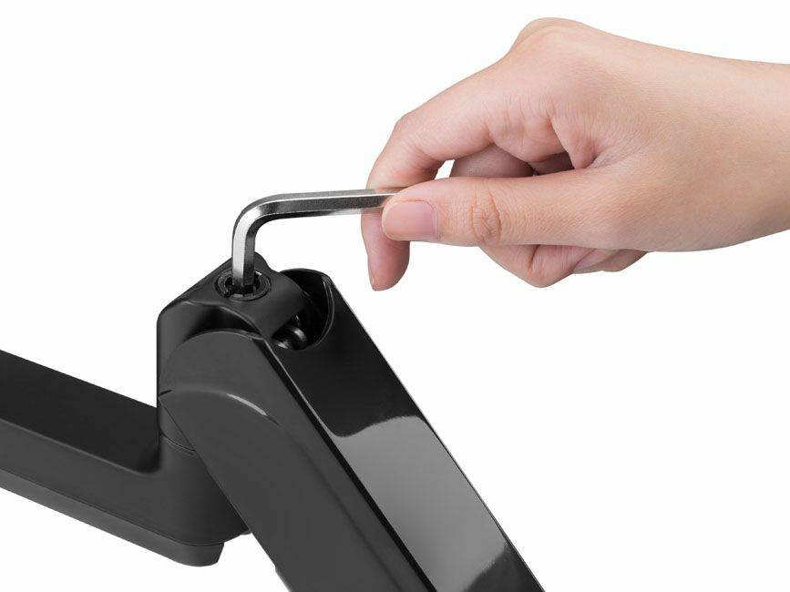 Equip 650133, Klemme, 18 kg, 43,2 cm (17 Zoll), 81,3 cm (32 Zoll), 100 x 100 mm, Schwarz