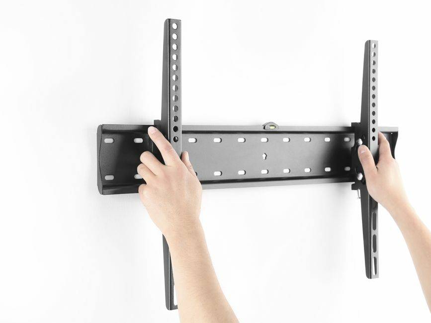 Equip 650332, 177,8 cm (70 Zoll), 200 x 200 mm, 600 x 400 mm, -12 - 12°, Edelstahl, Schwarz