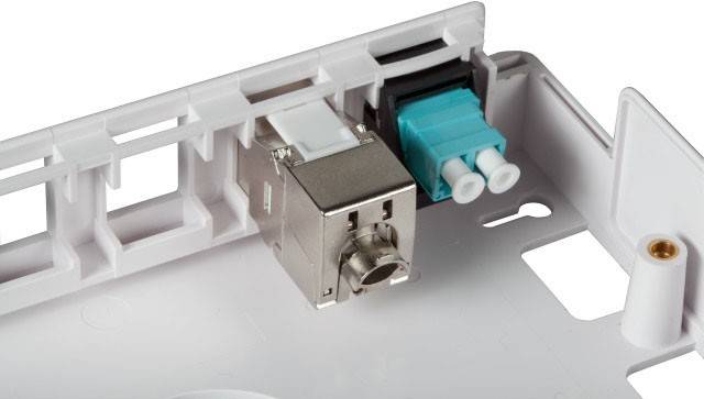Nahaufnahme eines Glasfaser-LC-Duplex-Adapters und eines RJ45-Ethernet-Anschlusses an einer modularen Netzwerk-Anschlussplatte.