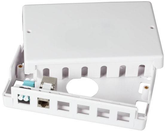 Netzwerk-Wanddose mit mehreren Anschlüssen, einschließlich eines RJ45-Ethernet-Anschlusses links und Kunststoff-Montageklammern an den Seiten.