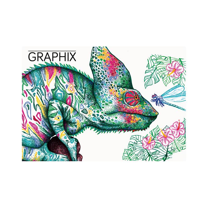 Eine lebendige Illustration eines Chamäleons, umgeben von bunten tropischen Blättern und einer Libelle, mit dem Wort 'GRAPHIX' in fetter Schrift.