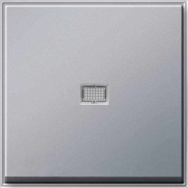 Gira Wippe Kontroll. alu 029065