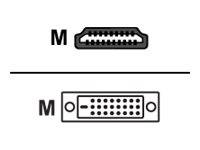 Sharkoon - Adapterkabel - Dual Link - HDMI männlich zu DVI-D männlich