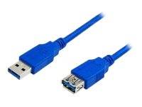 Blaues USB-Kabel mit einem Standard-USB-A-Stecker an einem Ende und einem kleineren USB-Stecker am anderen Ende.