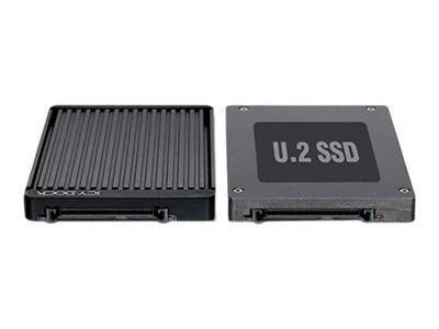 Zwei U.2 SSD-Laufwerke nebeneinander gezeigt, eines geriffelt schwarz und eines mit der Bezeichnung „U.2 SSD