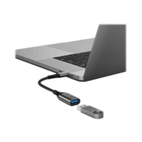 Alogic Super Ultra - USB-Adapter - 24 pin USB-C (M) Alogic Super Ultra - USB-Adapter - 24 pin USB-C (M)