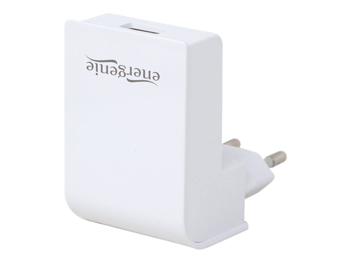 Weiß Energenie Wandladegerät mit zwei runden Stiften und einem USB-Anschluss oben, gezeigt vor einem einfachen Hintergrund.