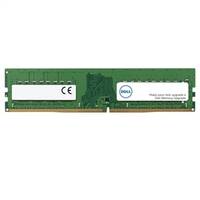 Grünes Dell-Computerspeichermodul (RAM) auf weißem Hintergrund dargestellt.