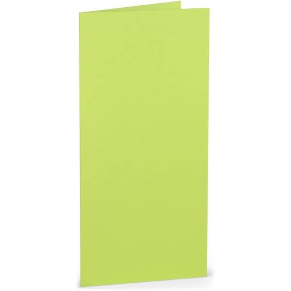 Doppelkarte DL hoch Maigrün