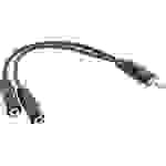 InLine® Klinken Y-Kabel, 3,5mm Klinke Stecker an 2x Buchse, Stereo, 0,2m Kabel zu Y- / Adapterkabel