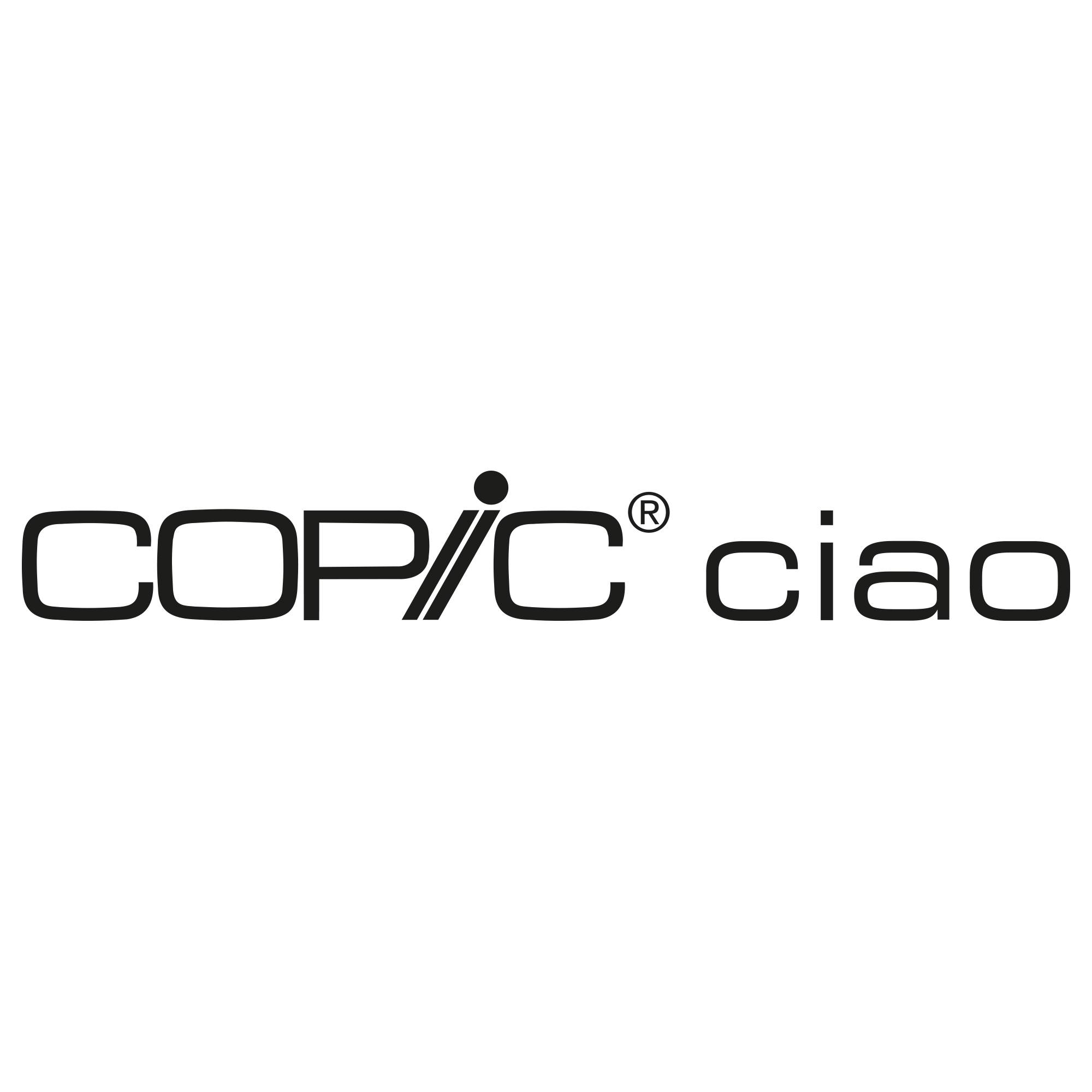 Copic Ciao 12er Set Hautfarben im Wallet