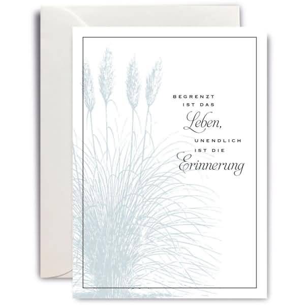 Trauerkarte MP B6 hoch Ähren Begrenzt ist das Leben