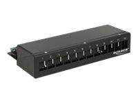 DeLOCK Keystone Desktop Patch Panel - Patch Panel