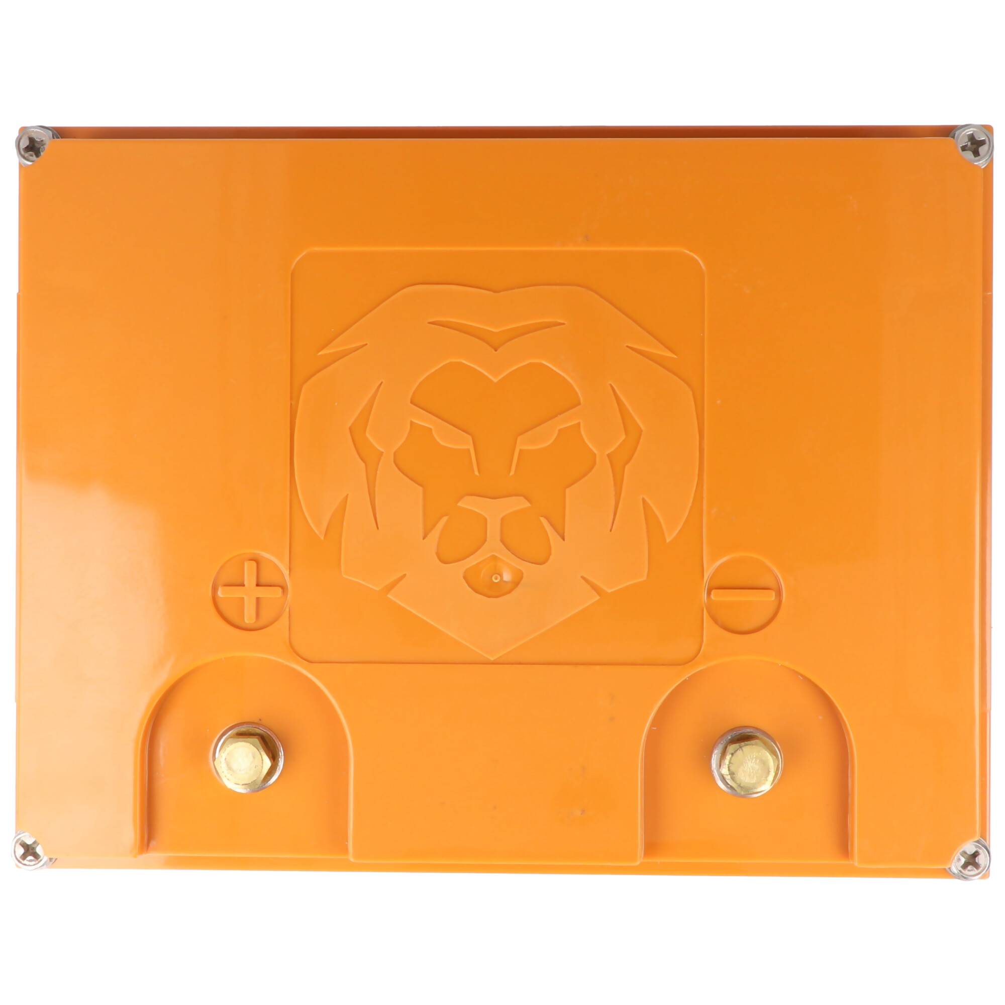 LIONTRON LiFePO4 Akku Smart BMS 12,8V, 40Ah - Vollwertiger Ersatz für 12 Volt Blei-Akkus