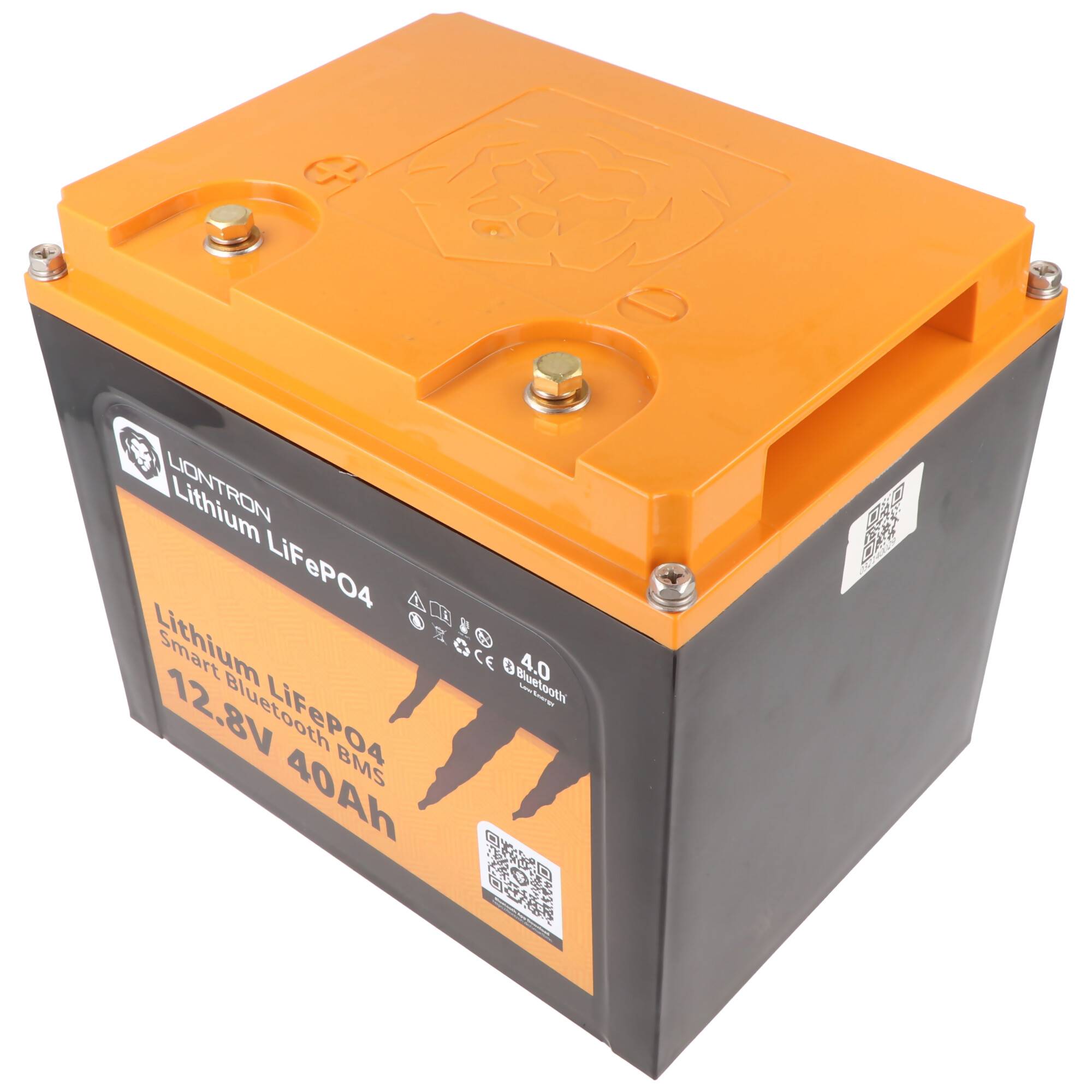 LIONTRON LiFePO4 Akku Smart BMS 12,8V, 40Ah - Vollwertiger Ersatz für 12 Volt Blei-Akkus