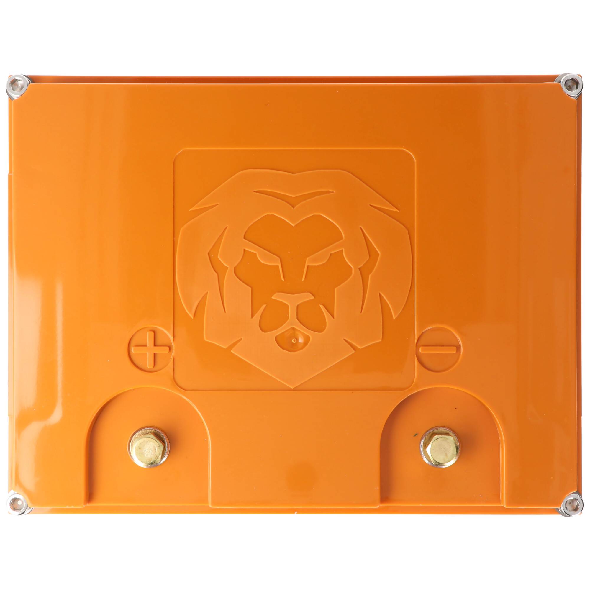 LIONTRON LiFePO4 Akku Smart BMS 25,6V, 20Ah - Vollwertiger Ersatz für 24 Volt Blei-Akkus