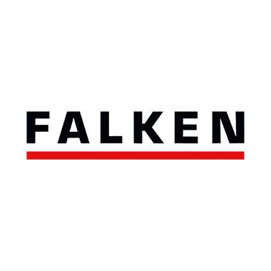Falken Einhakhefter 80000854 DIN A4 ganzer Deckel kaufm. Heftung ch