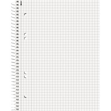 Leere Seite mit Millimeterpapier in einem Spiralbindungs-Notizbuch auf der linken Seite und drei gelochten Löchern.