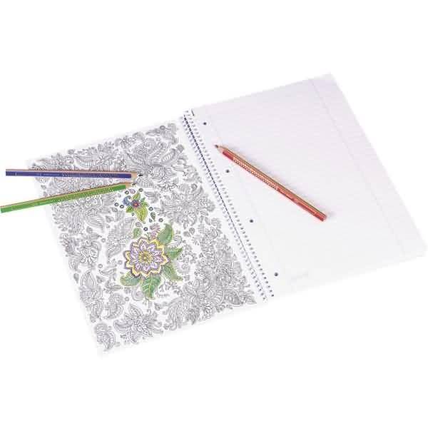 Collegeblock Student ZenArt Papagei A4 90g/qm 80 Blatt Lineatur 27