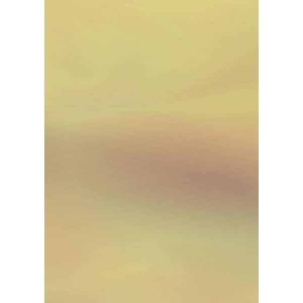 Holografiekarton 49,5x70cm gold