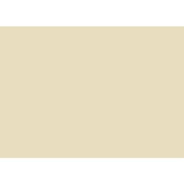 Tonpapier 130g/qm 50x70cm chamois