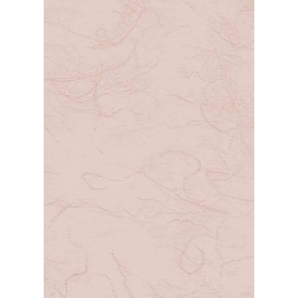 Strohseide 25g/m 50x70cm fleisch