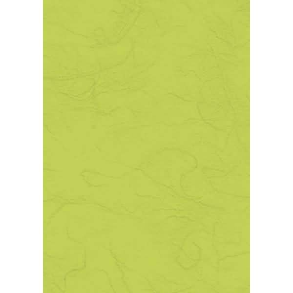 Strohseide 25g/m 50x70cm hellgrün