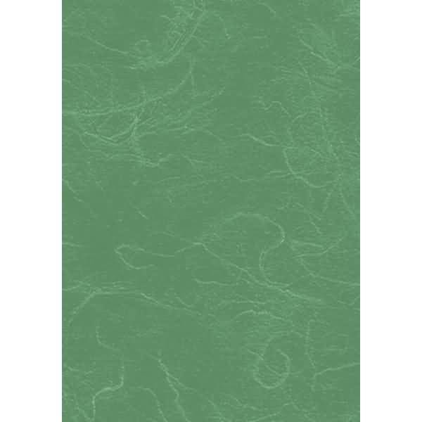Strohseide 25g/m 50x70cm dunkelgrün