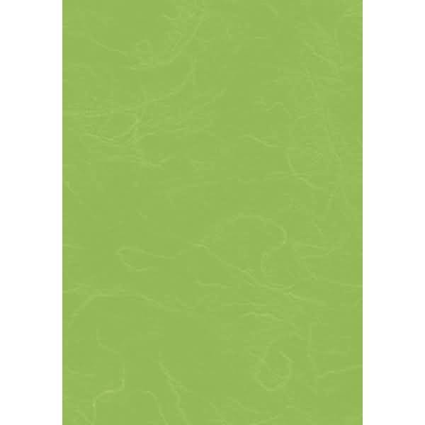Strohseide 25g/m 50x70cm grün