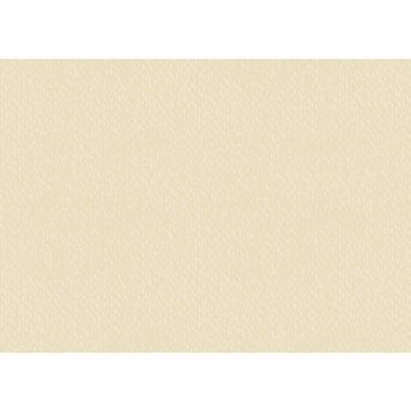 Universalkarton 220g/qm 50x70cm chamois