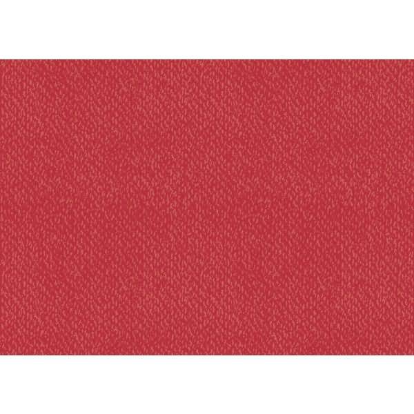 Universalkarton 220g/qm 50x70cm rot