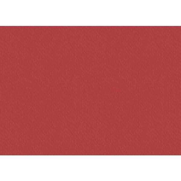 Universalkarton 220g/qm 50x70cm hellrot