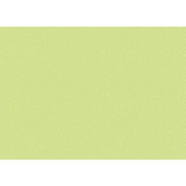 Universalkarton 220g/qm 50x70cm hellgrün