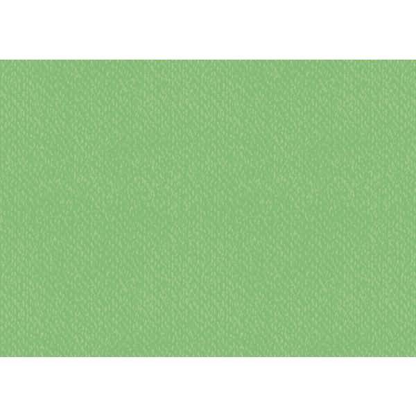 Universalkarton 220g/qm 50x70cm mittelgrün