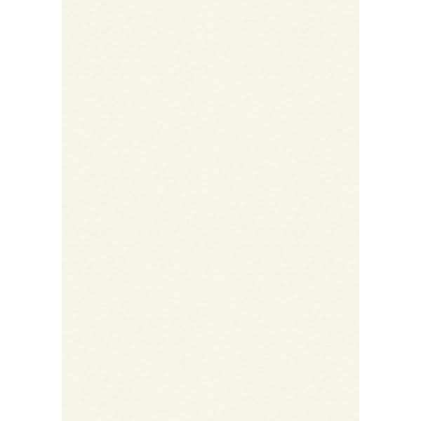 Universalkarton 220g/qm A4 perlweiß