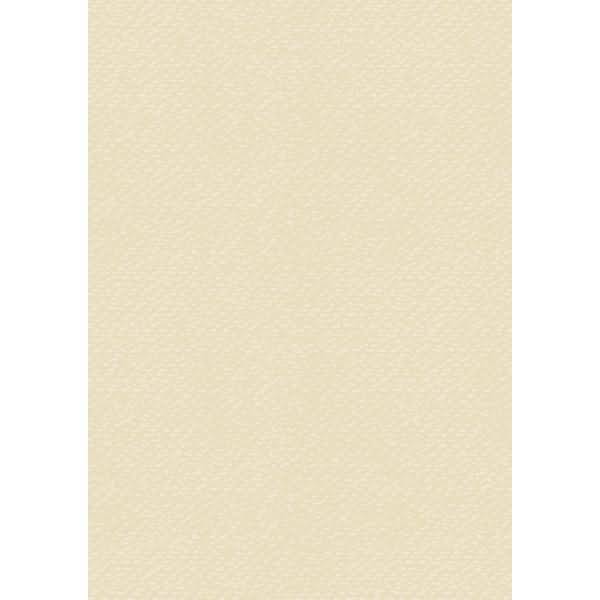 Universalkarton 220g/qm A4 chamois