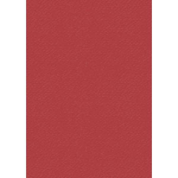 Universalkarton 220g/qm A4 tulpenrot