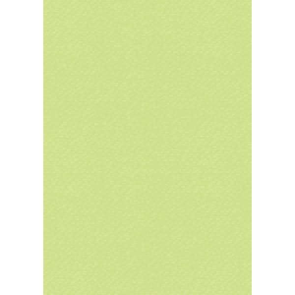 Universalkarton 220g/qm A4 hellgrün