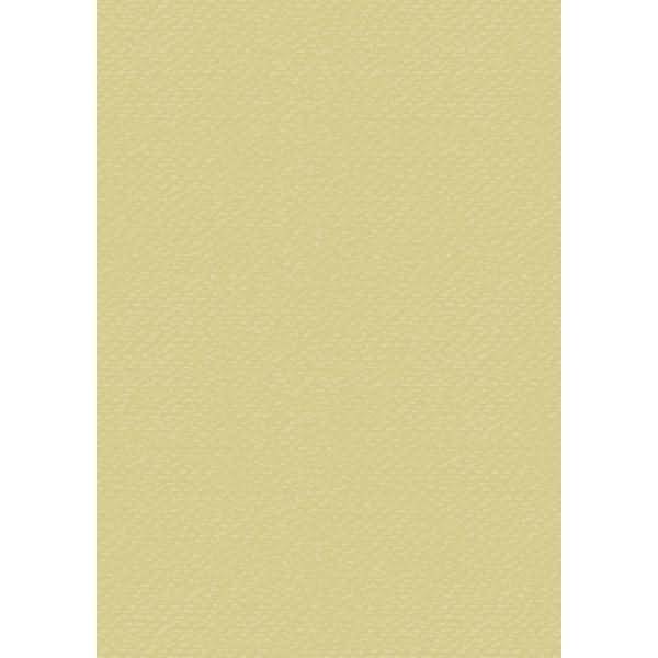 Universalkarton 220g/qm A4 gold