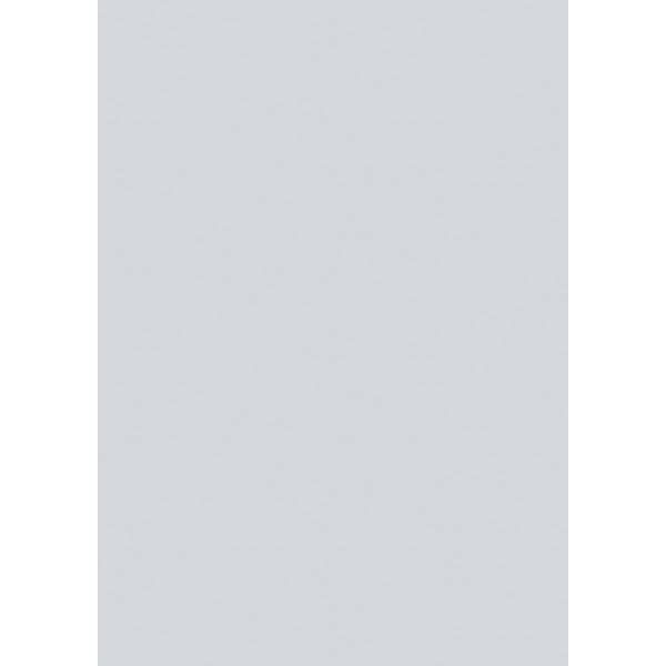 Universalkarton 220g/qm A4 silber