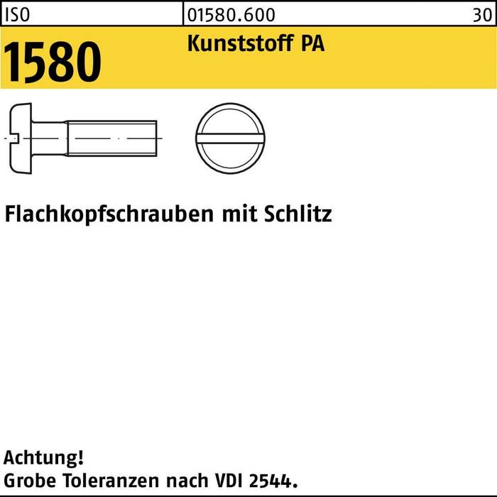 Flachkopfschraube ISO 1580 Schlitz M6x 20 Polyamid 200 Stück