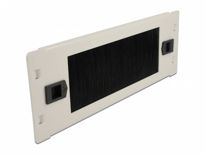 DeLOCK - Kabelmanagementleiste - Grau - 2U - 25.4 cm (10")