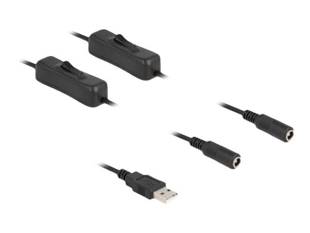 Delock - Netz-Splitter - USB (M) bis Gleichstromstecker 5,5 x 2,1 mm (W)