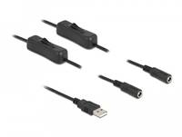 Delock - Netz-Splitter - USB (M) bis Gleichstromstecker 5,5 x 2,1 mm (W)