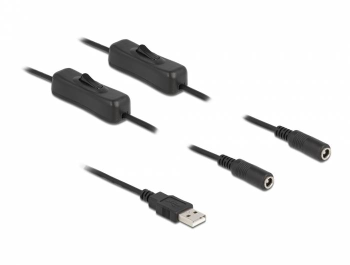 Delock - Netz-Splitter - USB (M) bis Gleichstromstecker 5,5 x 2,1 mm (W)