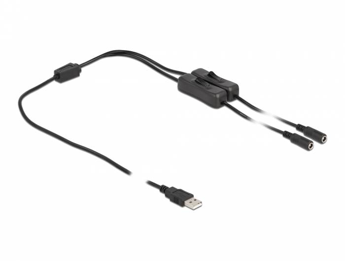 Delock - Netz-Splitter - USB (M) bis Gleichstromstecker 5,5 x 2,1 mm (W)