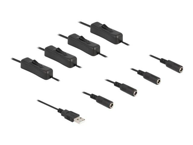 Delock - Netz-Splitter - USB (M) bis Gleichstromstecker 5,5 x 2,1 mm (W)