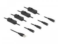 Delock - Netz-Splitter - USB (M) bis Gleichstromstecker 5,5 x 2,1 mm (W)