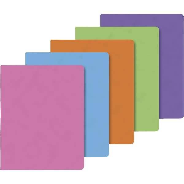 Ringbuch Fact! plus A4 Pressspankarton 30mm 2 Ringe sortiert