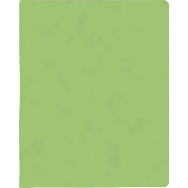 Ringbuch Fact! plus A4 Pressspankarton 15mm 2 Ringe hellgrün